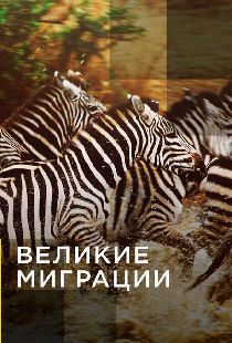 Великие миграции