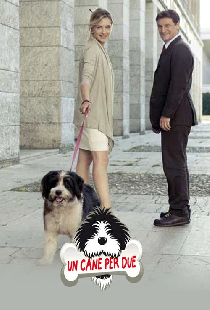 Un cane per due