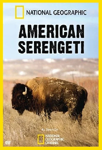 American Serengeti