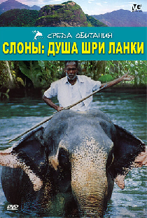 Слоны: Душа Шри-Ланки