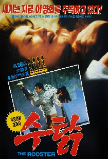 수탉