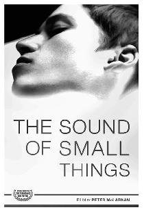 The Sound of Small Things