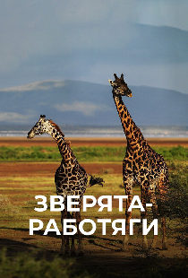Зверята-работяги