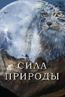 Сила природы