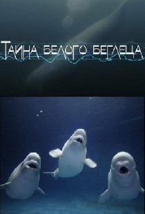 Тайна белого беглеца