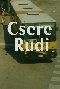 Замена Руди