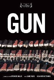 Gun