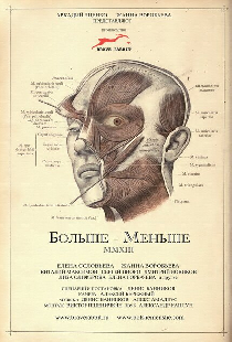 Больше — Меньше