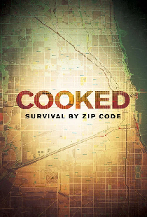Cooked: Survival by Zip Code