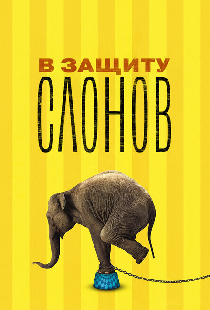 В защиту слонов