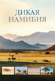 Дикая Намибия