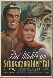 Die Mühle im Schwarzwäldertal