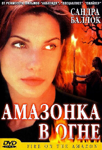 Амазонка в огне