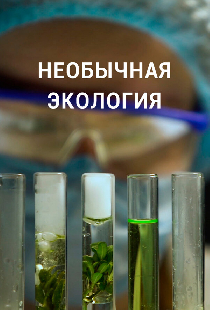 Необычная экология