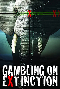 Gambling on Extinction