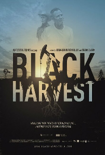 Black Harvest