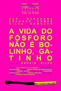 A Vida do Fósforo Não É Bolinho, Gatinho