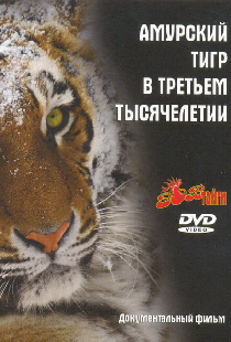 Амурский тигр в третьем тысячелетии