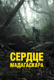 Сердце Мадагаскара