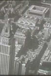 Wonder City