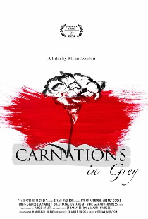 Carnations in Grey