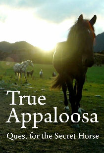The Secret Horse: Quest for the True Appaloosa