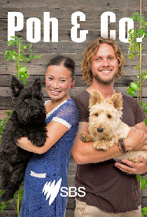 Poh & Co.