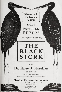 The Black Stork