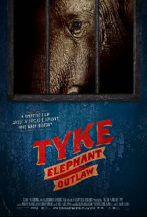 Tyke Elephant Outlaw