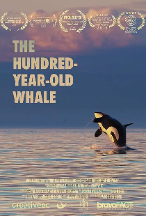 The Hundred Year Old Whale
