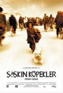 Бродячие собаки