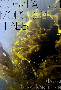 Собиратели морской травы