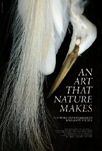 An Art That Nature Makes: The Work of Rosamond Purcell