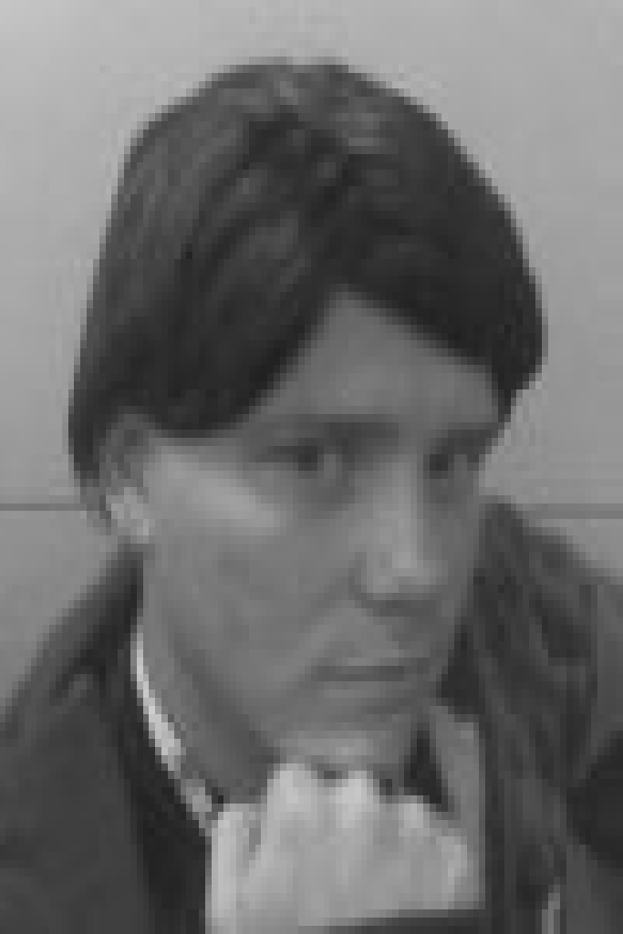 Брэд Раскин