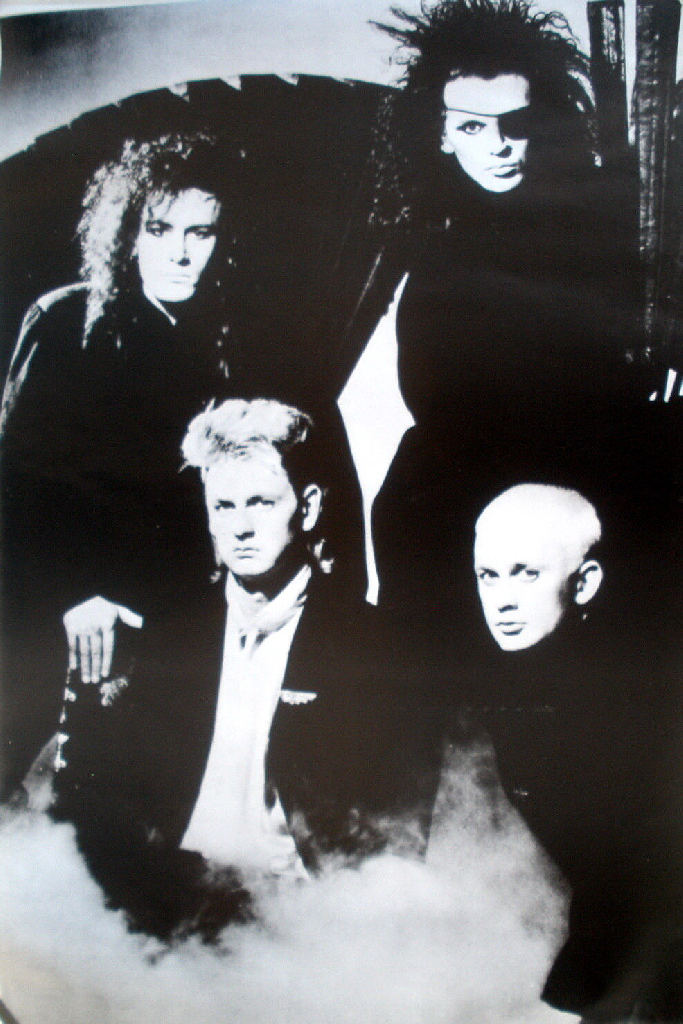 Dead or Alive