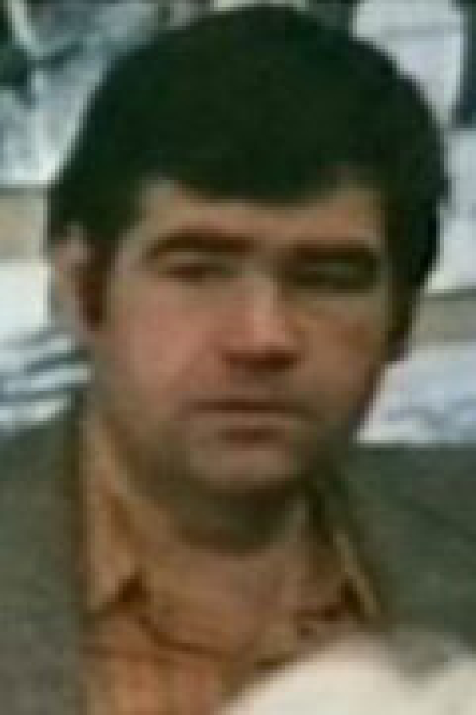 Владимир Мышкин