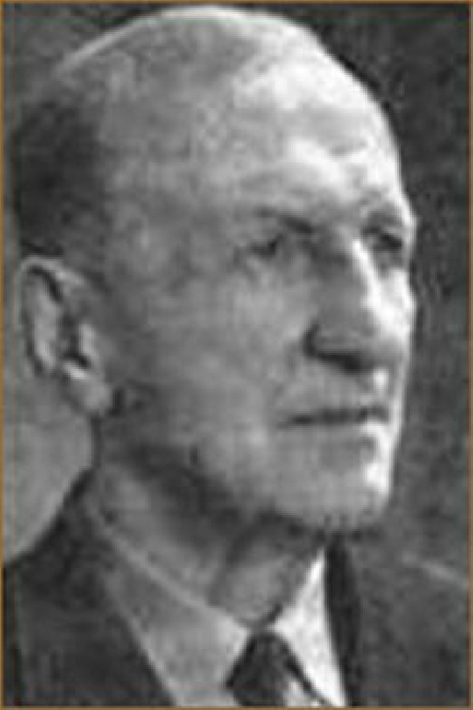 Николай Брыкин