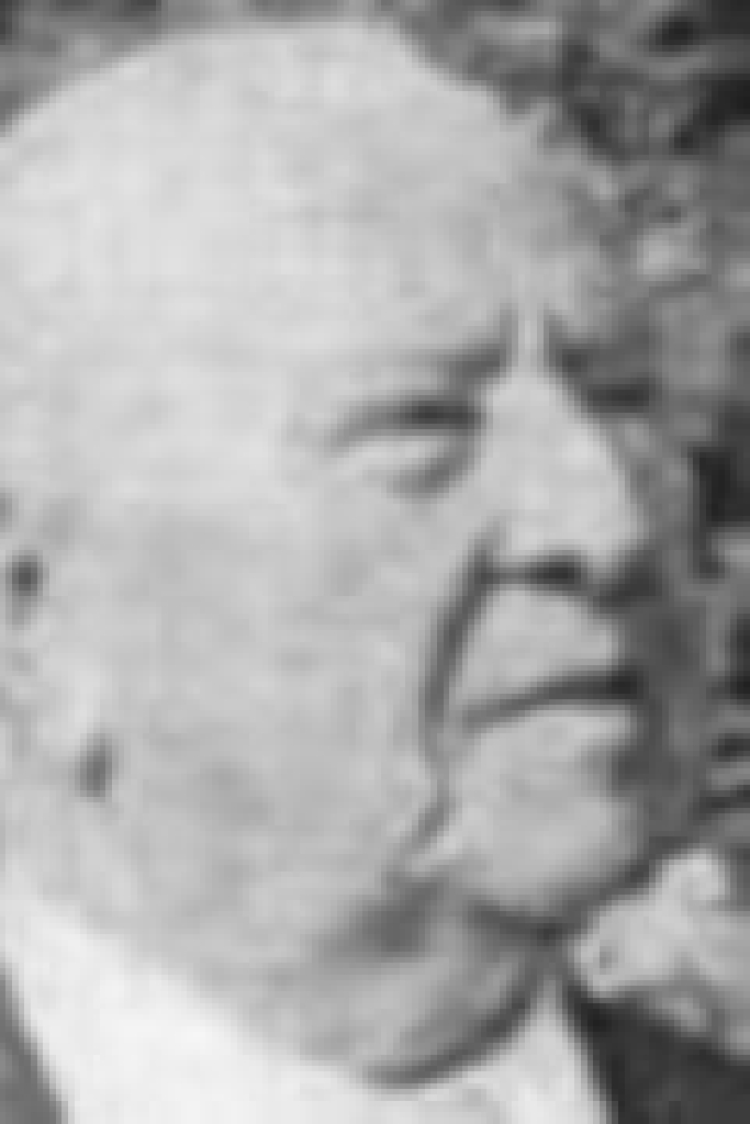 Valdemar Skjerning