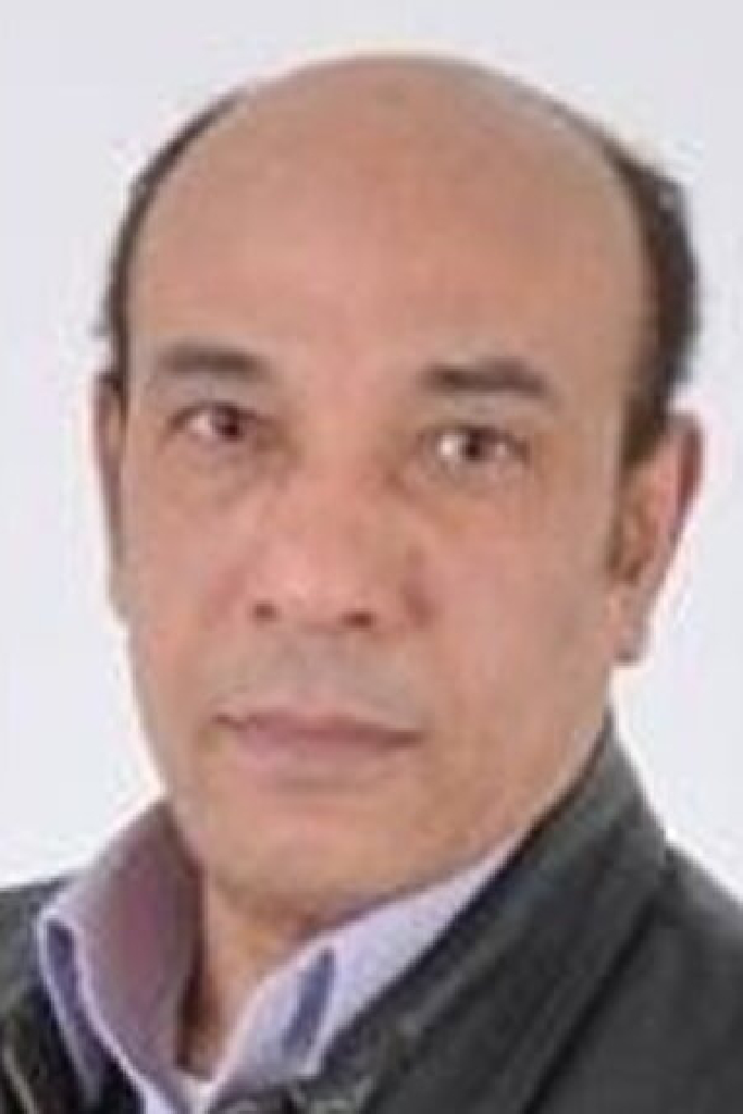 Hamdi Hefni