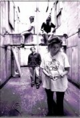 The Gits