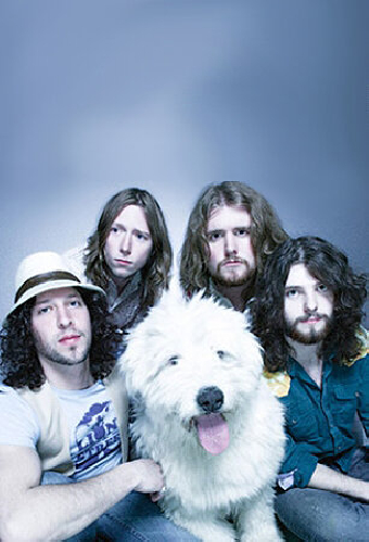 The Sheepdogs