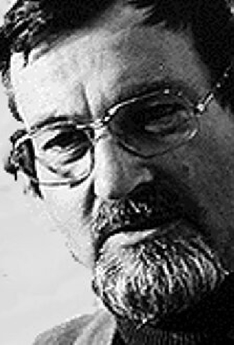 Вернер Бергман
