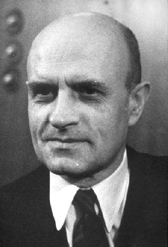 Мирко Елюшич
