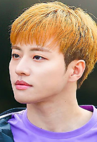 Feeldog
