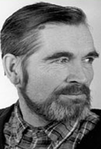 Арви Халлик